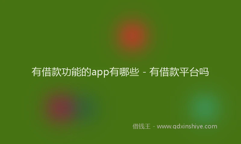 有借款功能的app有哪些 - 有借款平台吗