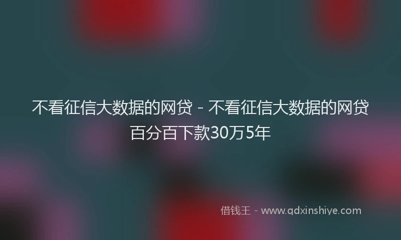 不看征信大数据的网贷 - 不看征信大数据的网贷百分百下款30万5年
