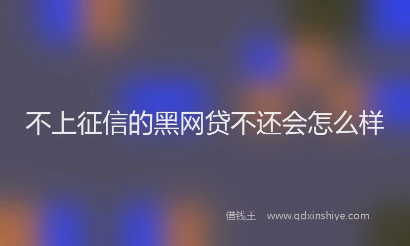 不上征信的黑网贷不还会怎么样