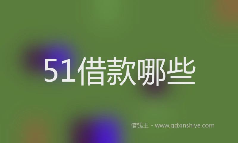51借款哪些