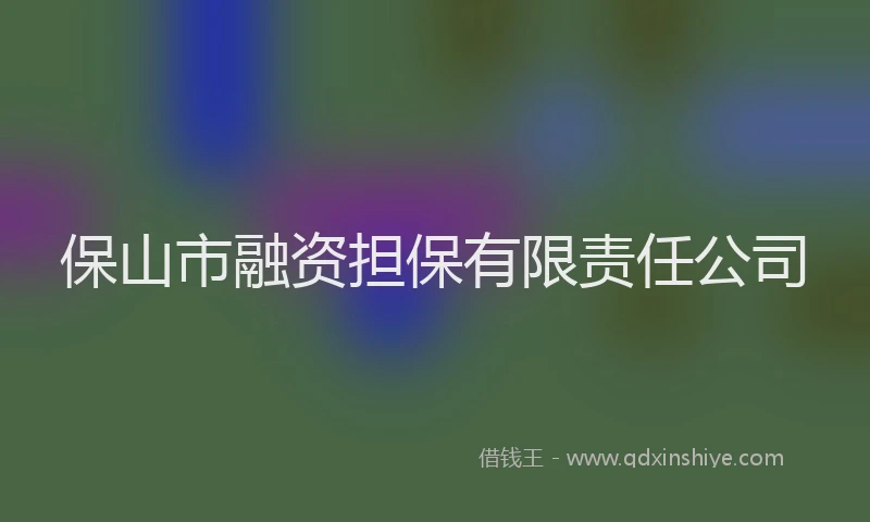 保山市融资担保有限责任公司