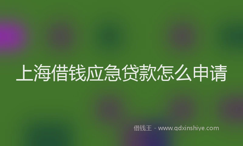 上海借钱应急贷款怎么申请