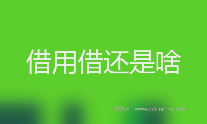 借用借还是啥