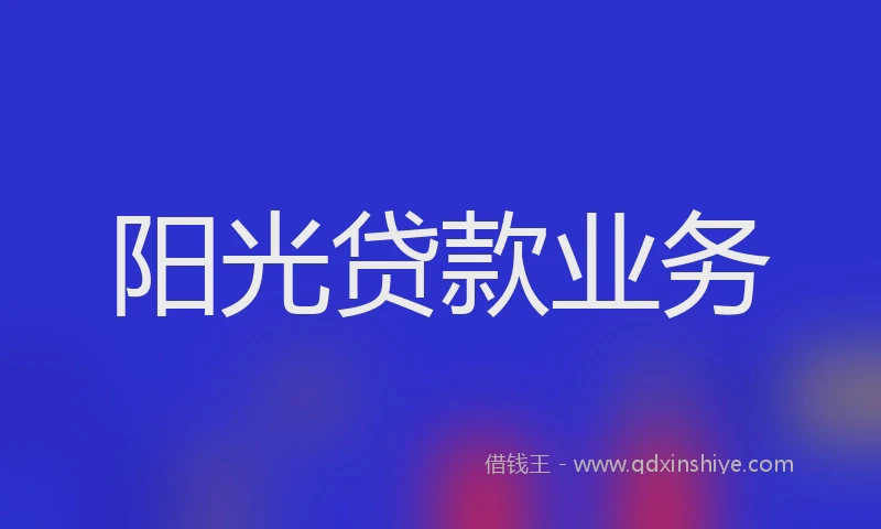 阳光贷款业务