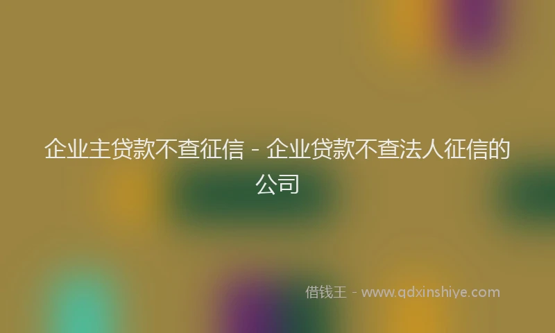 企业主贷款不查征信 - 企业贷款不查法人征信的公司