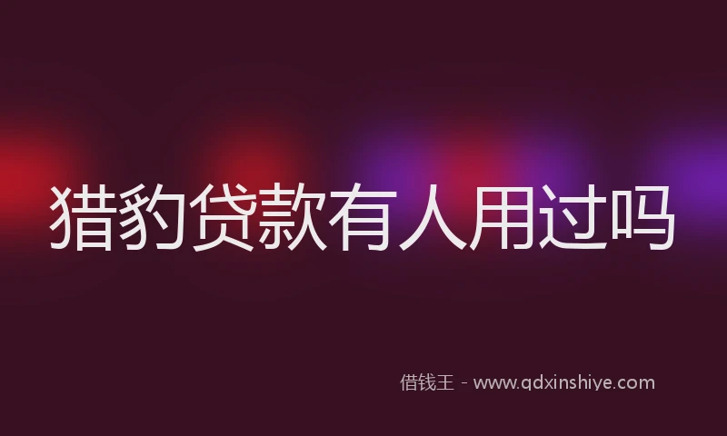 猎豹贷款有人用过吗
