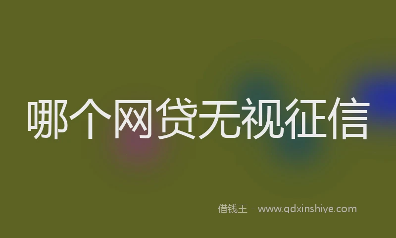 哪个网贷无视征信