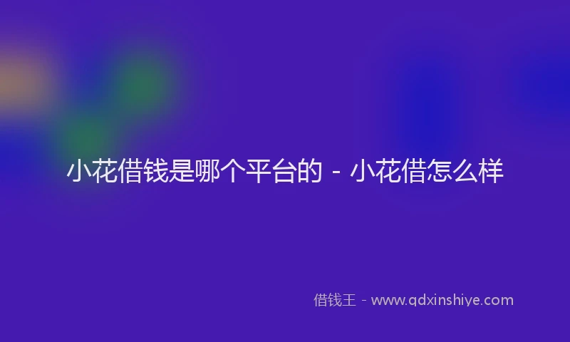 小花借钱是哪个平台的 - 小花借怎么样