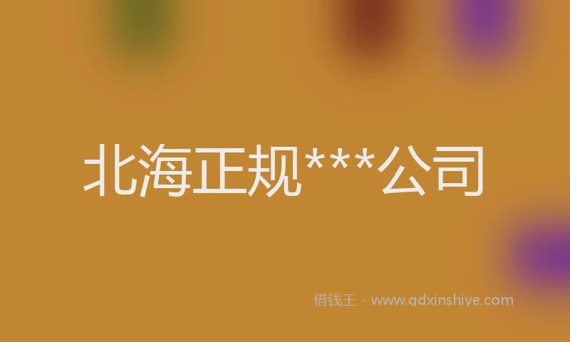 北海正规***公司