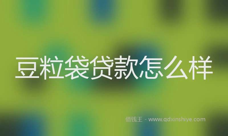豆粒袋贷款怎么样