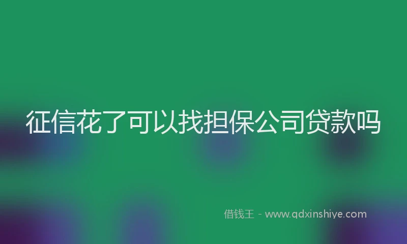 征信花了可以找担保公司贷款吗