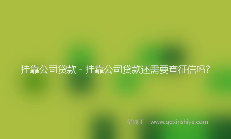 挂靠公司贷款 - 挂靠公司贷款还需要查征信吗?