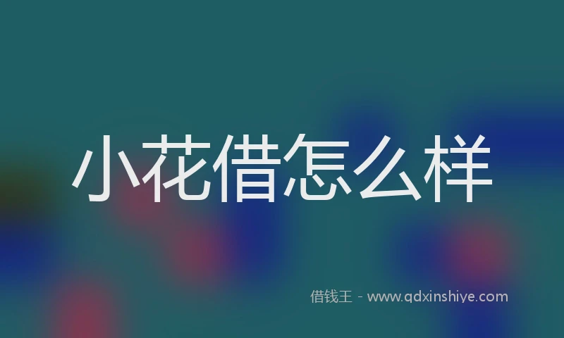 小花借怎么样