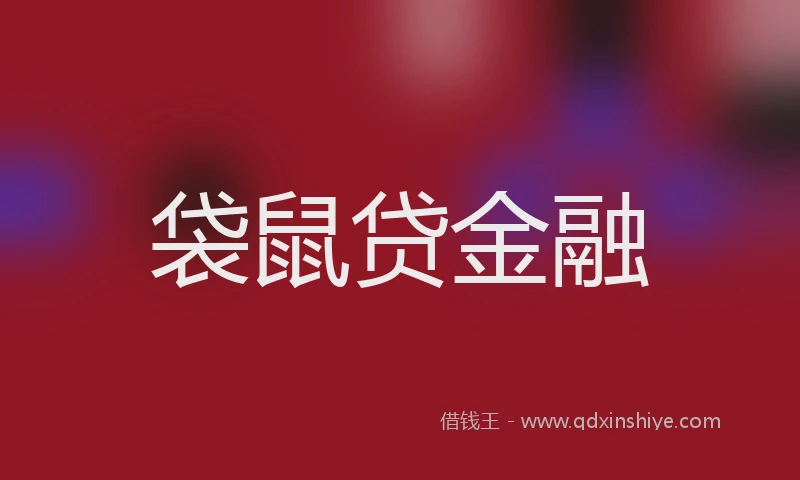 袋鼠贷金融