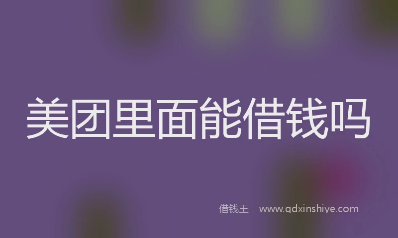 美团里面能借钱吗