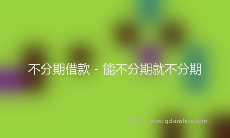 不分期借款 - 能不分期就不分期