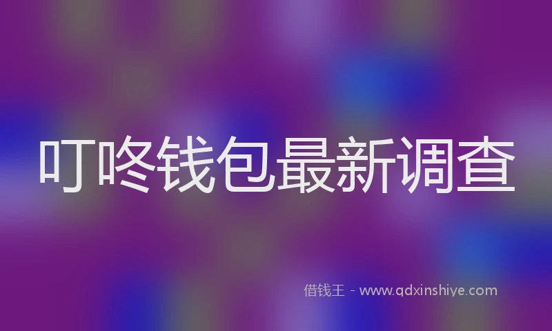 叮咚钱包最新调查