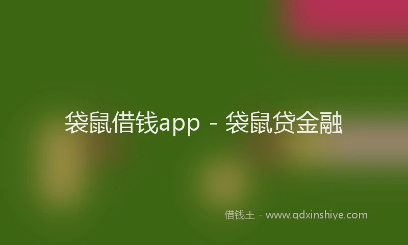 袋鼠借钱app - 袋鼠贷金融