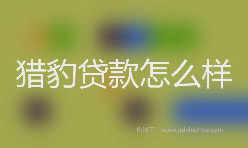 猎豹贷款怎么样