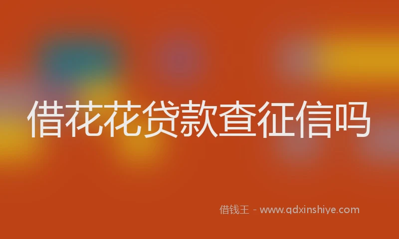 借花花贷款查征信吗