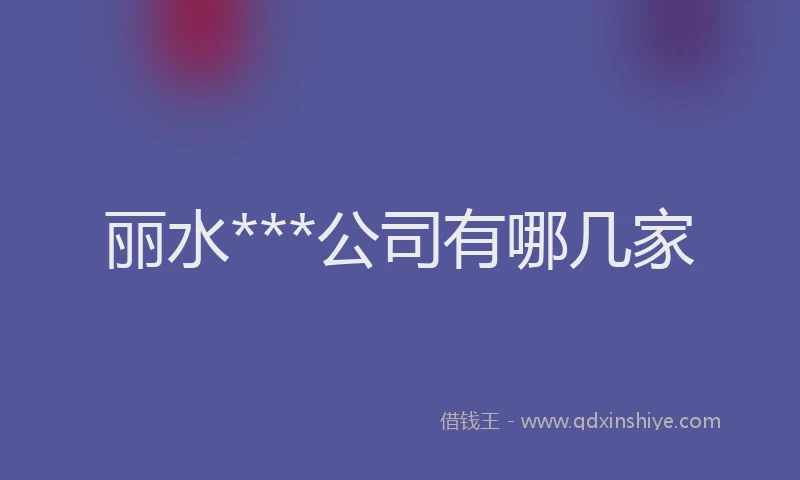 丽水***公司有哪几家
