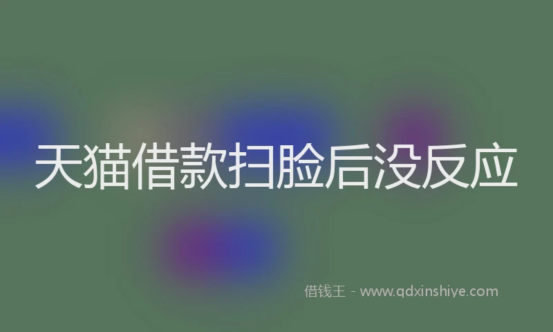 天猫借款扫脸后没反应