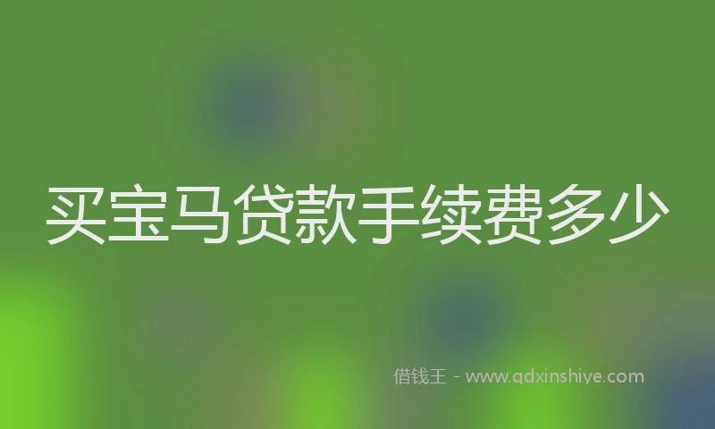 买宝马贷款手续费多少