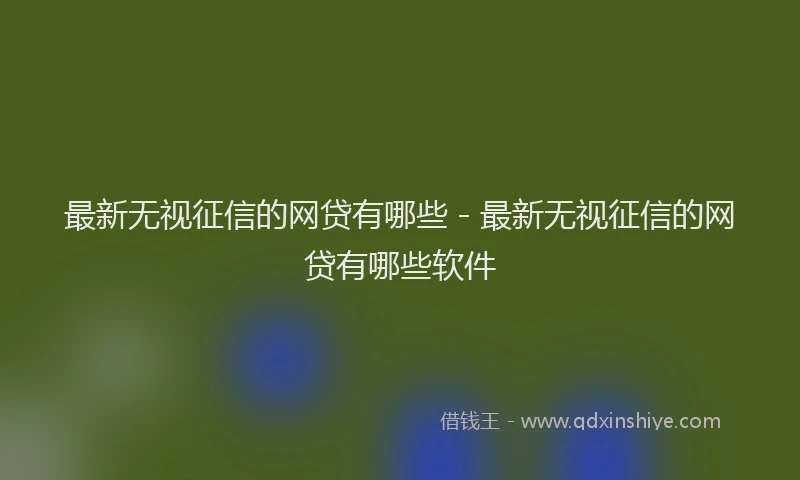 最新无视征信的网贷有哪些 - 最新无视征信的网贷有哪些软件