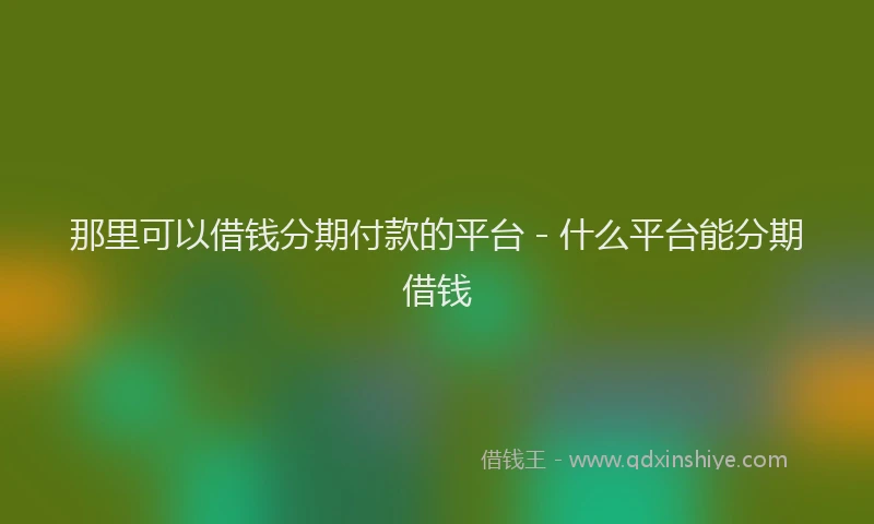 那里可以借钱分期付款的平台 - 什么平台能分期借钱