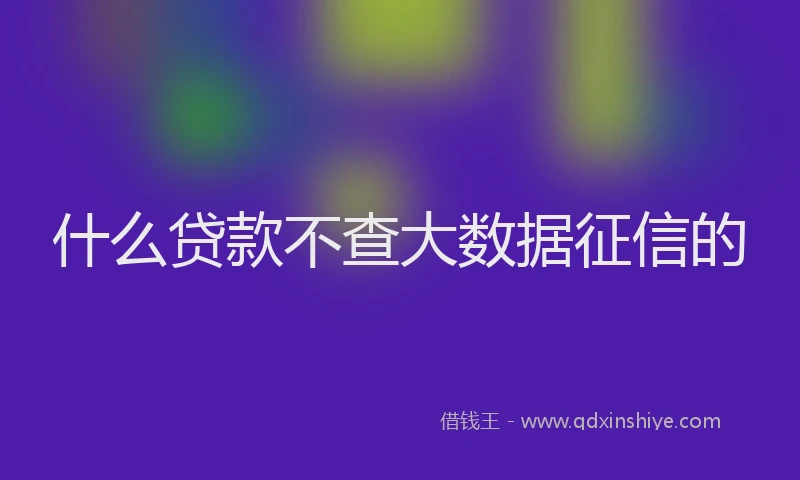 什么贷款不查大数据征信的