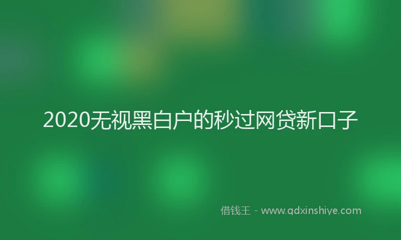 2020无视黑白户的秒过网贷新口子