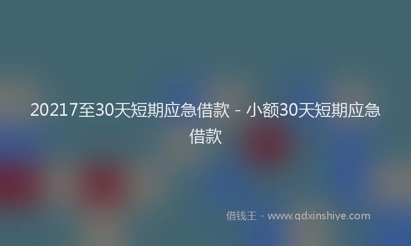 20217至30天短期应急借款 - 小额30天短期应急借款