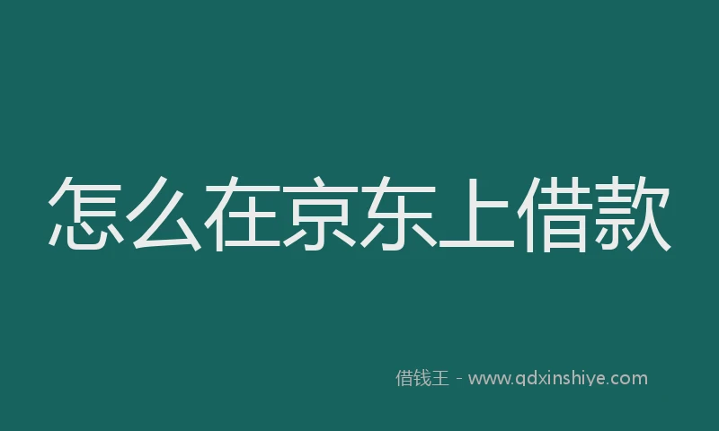 怎么在京东上借款