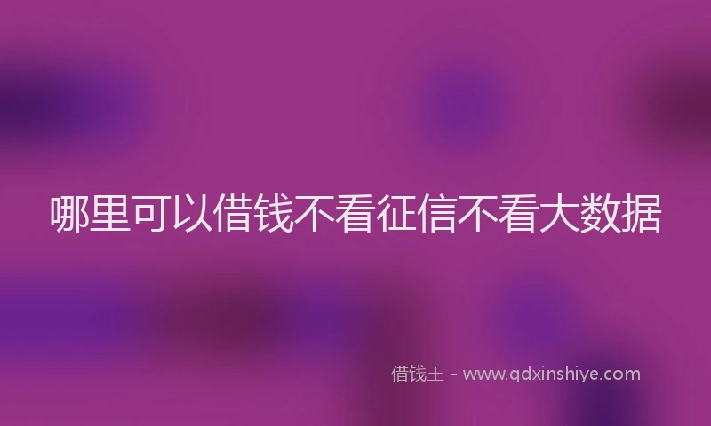 哪里可以借钱不看征信不看大数据