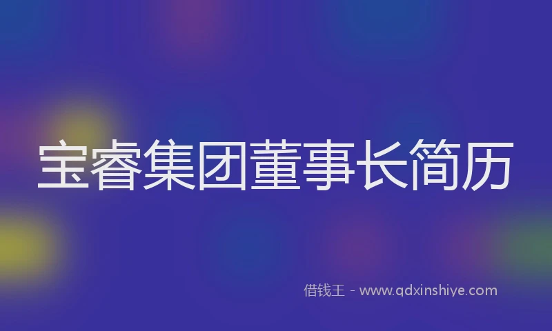 宝睿集团董事长简历