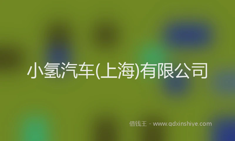 小氢汽车(上海)有限公司