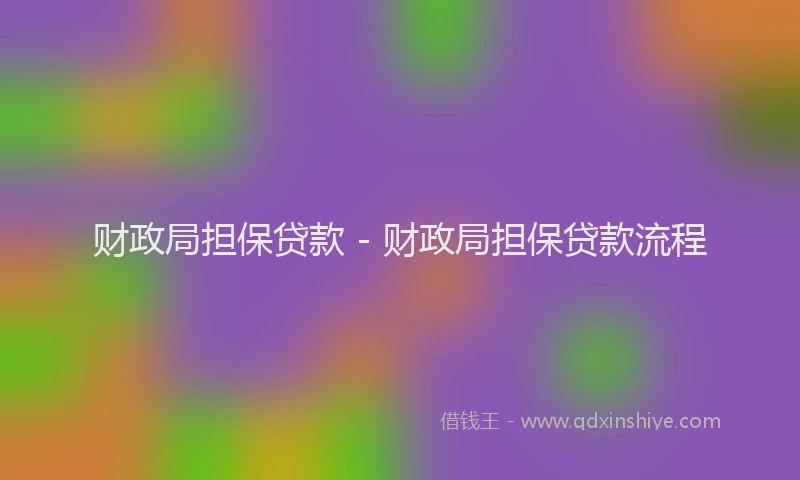 财政局担保贷款 - 财政局担保贷款流程