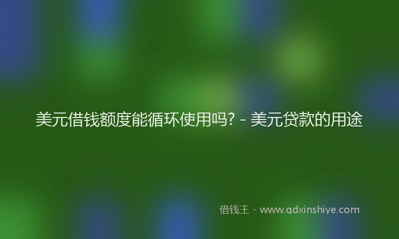美元借钱额度能循环使用吗? - 美元贷款的用途