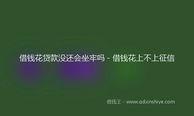 借钱花贷款没还会坐牢吗 - 借钱花上不上征信