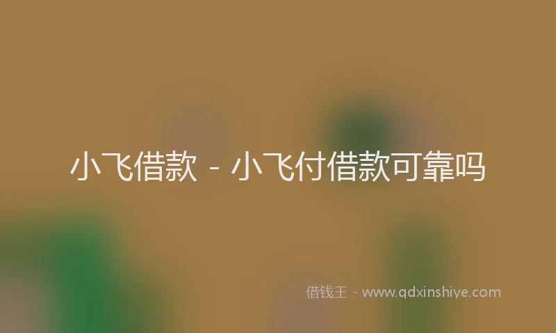 小飞借款 - 小飞付借款可靠吗