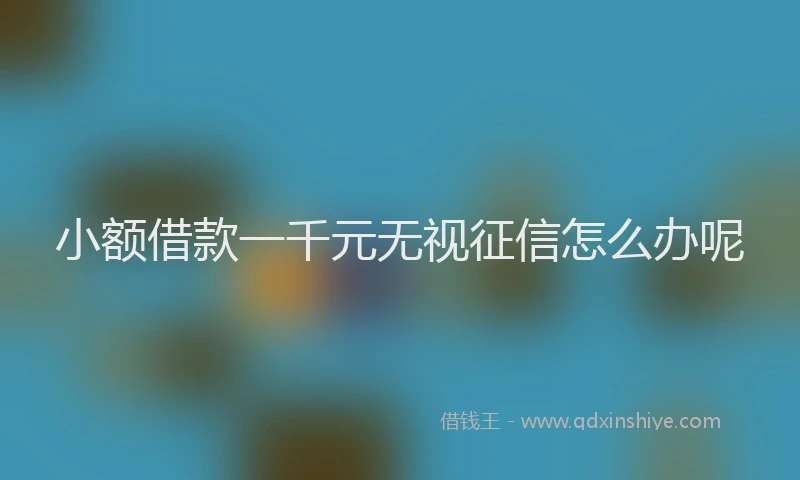 小额借款一千元无视征信怎么办呢
