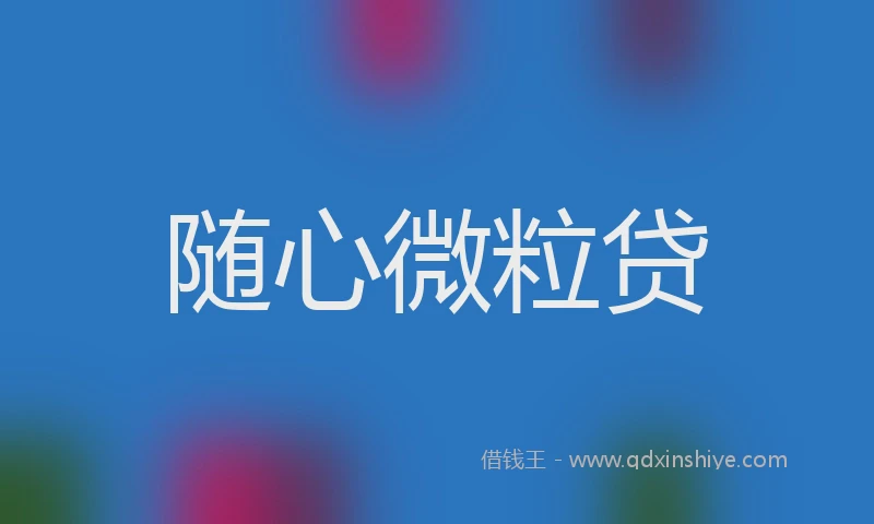 随心微粒贷