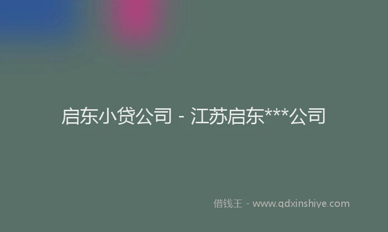 启东小贷公司 - 江苏启东***公司