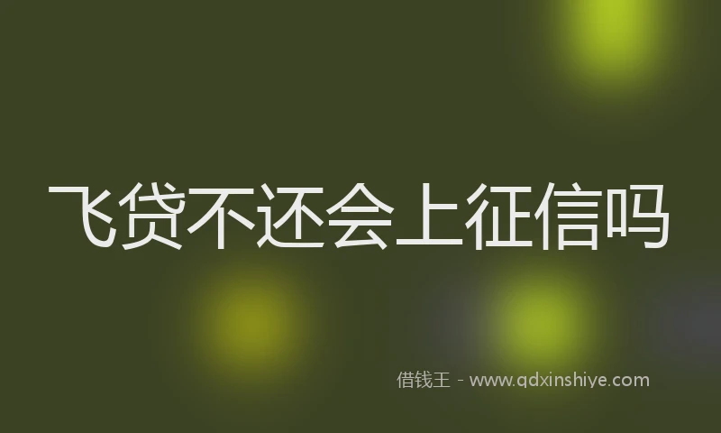 飞贷不还会上征信吗