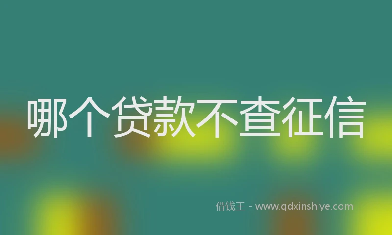 哪个贷款不查征信