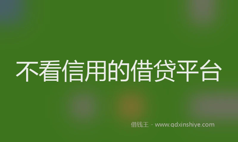 不看信用的借贷平台