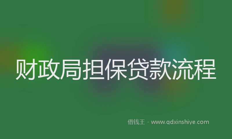 财政局担保贷款流程