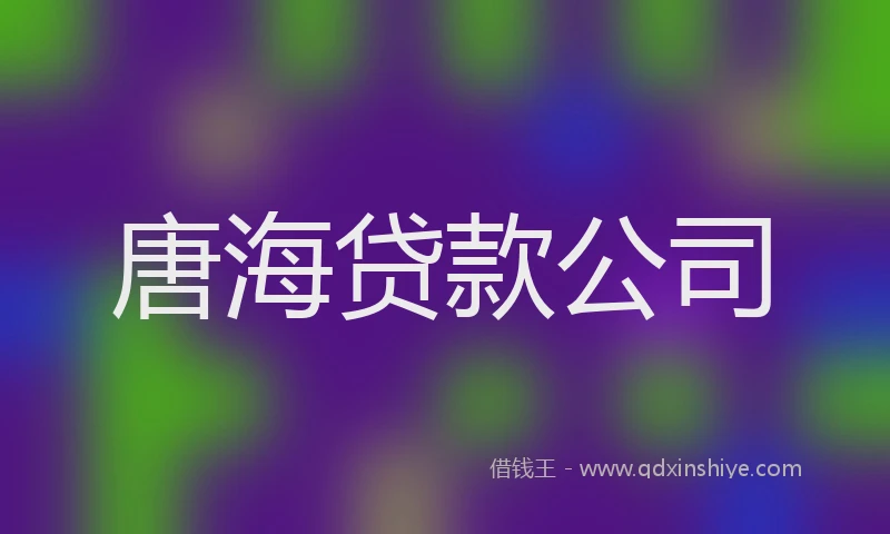 唐海贷款公司