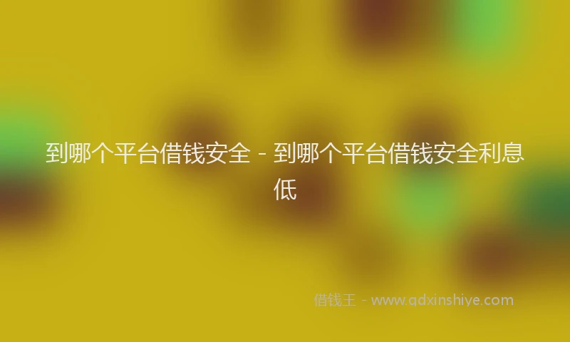 到哪个平台借钱安全 - 到哪个平台借钱安全利息低
