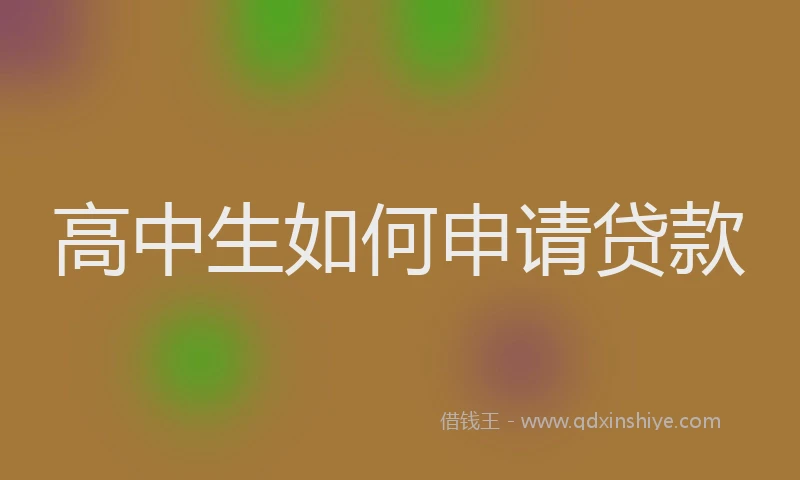高中生如何申请贷款